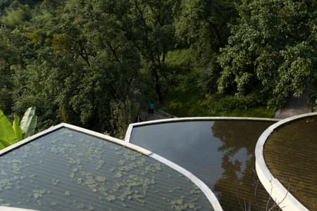 Buzzy Sunny· Feixue Pavilion
